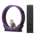 Silent Cat Exercise Wheel - Factory Direct Pet Running Spinner (Smart Tracking System, Durable Treadmill Design