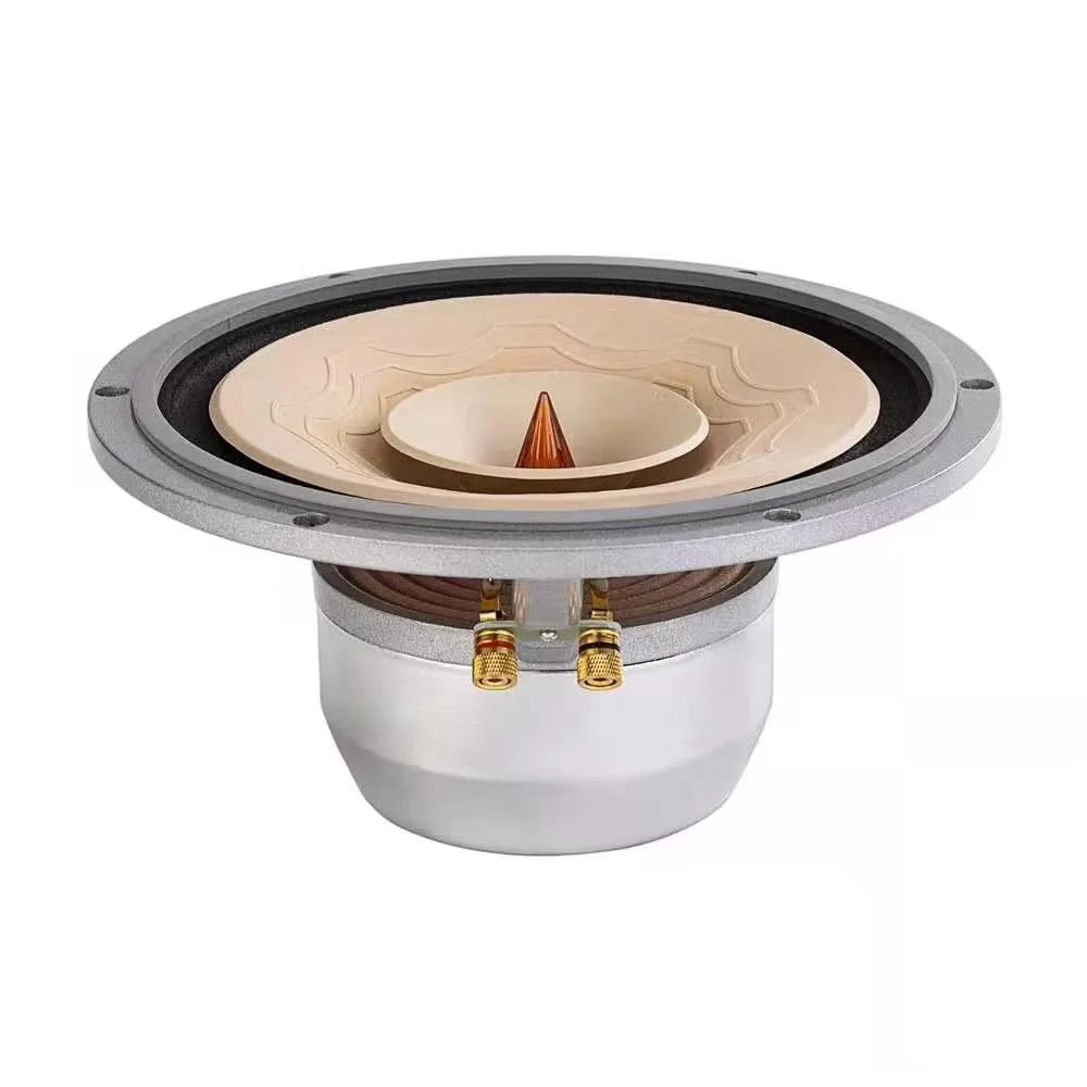 Z-1223  LiiSong Silver-10 EVO 10 Inch Full Frequency Speaker Flagship Series Floor Speaker 25-50 W 8 Ohm (1 Pair)