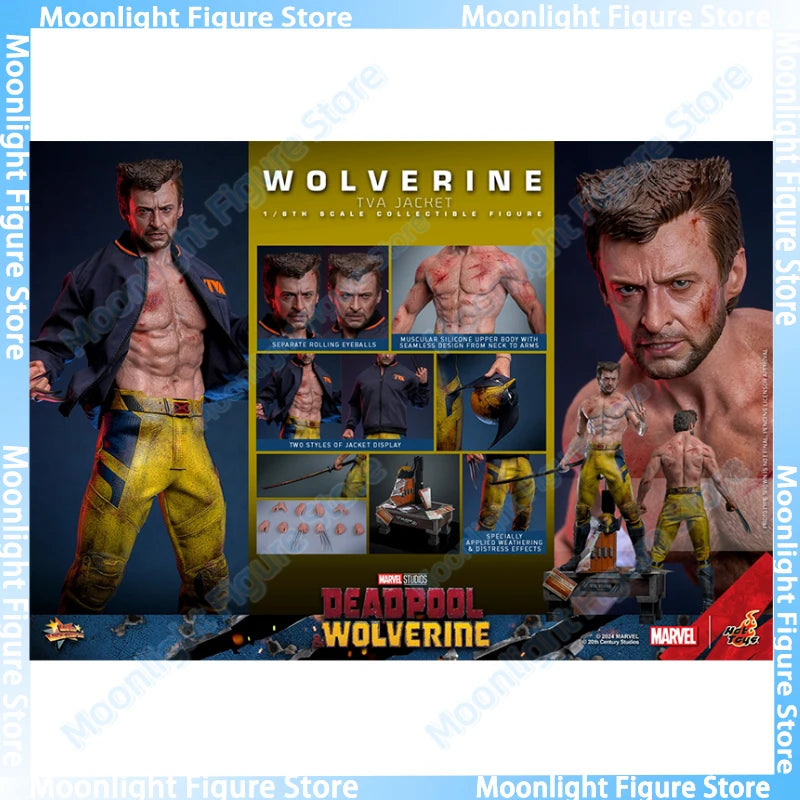 In Stock HotToys MMS756 Wolverine TVA Jacket 1/6 Soldier Figure Animation Action Figure Toy Gift Model Collection