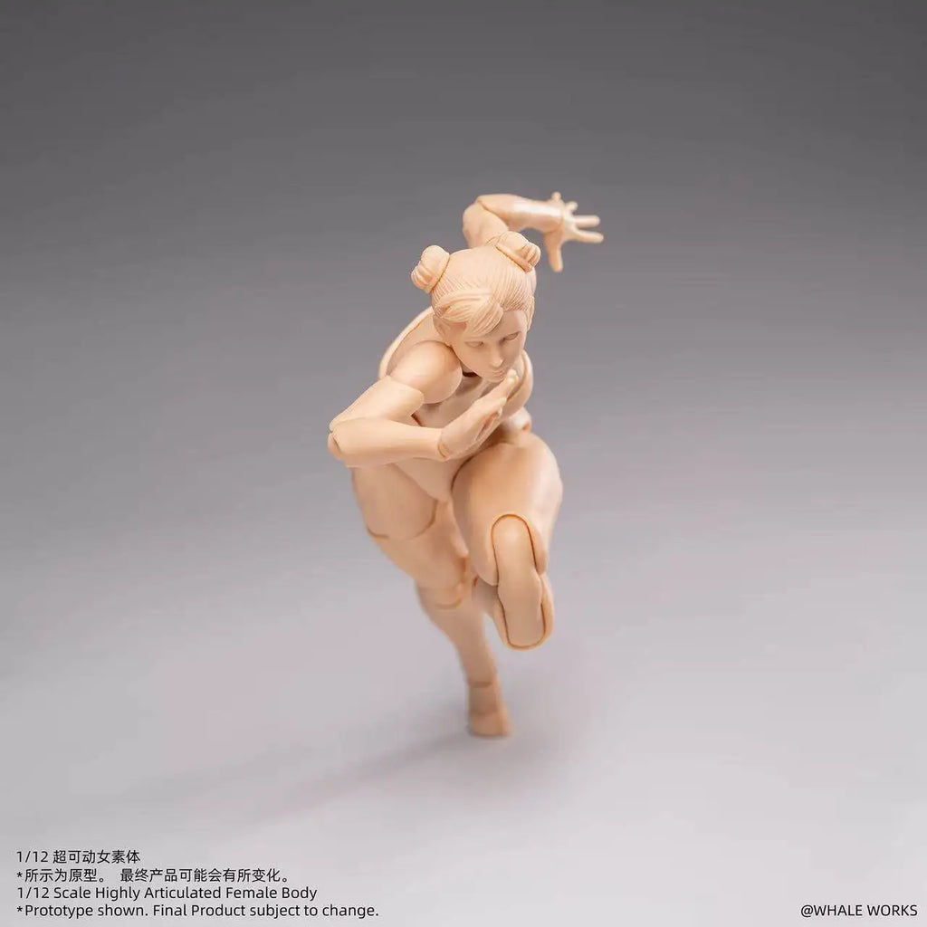 In Stock WHALE WORKS WW01/02 ARIA RIN FEMALE BODY Movable Model Toys 1/12 Super Articulated Cammy White Chun Li