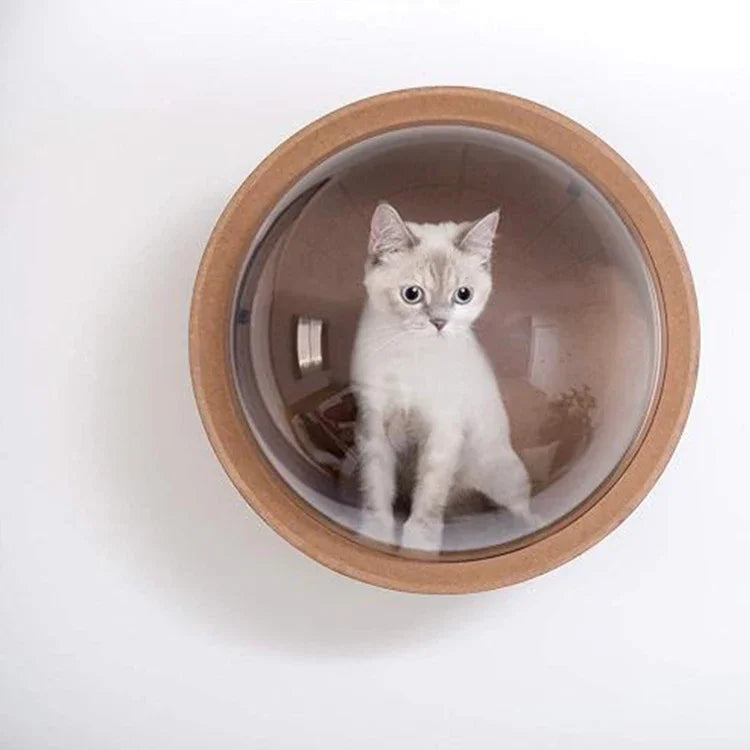 Cat play wall mounted furniture bed wood house hammock with acrylic cover