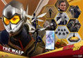 Original Hot Toys Marvel Female Soldier Marvel Superheroes Movie Characters MMS498 Ant Man 2 The Wasp Anime Figure Toys Models