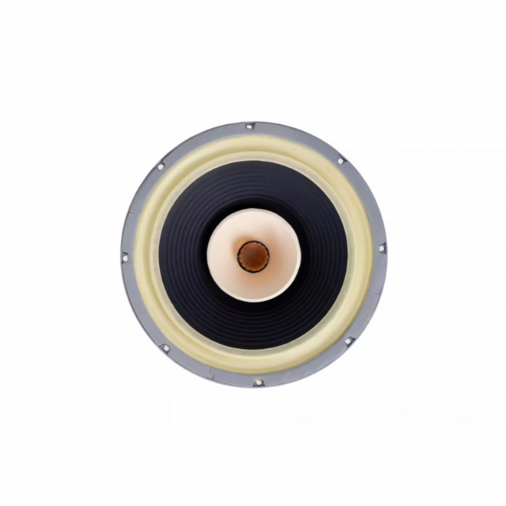 Z-1224 LiiSong Fast-12 12 Inch Full Frequency Speaker 40-80W 8 Ohm Fullrange Drivers （1 Pair）