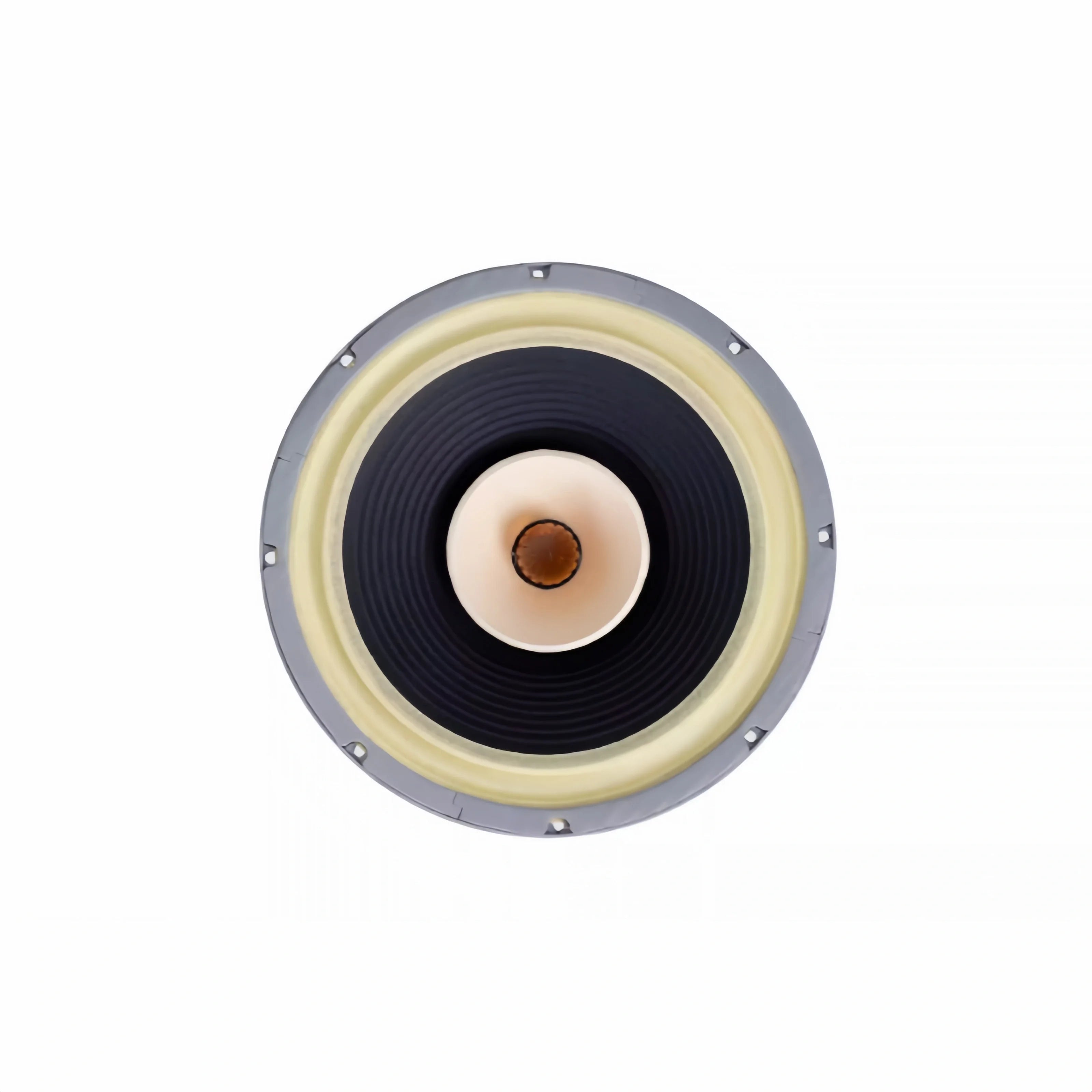 Z-1224 LiiSong Fast-12 12 Inch Full Frequency Speaker 40-80W 8 Ohm Fullrange Drivers （1 Pair）