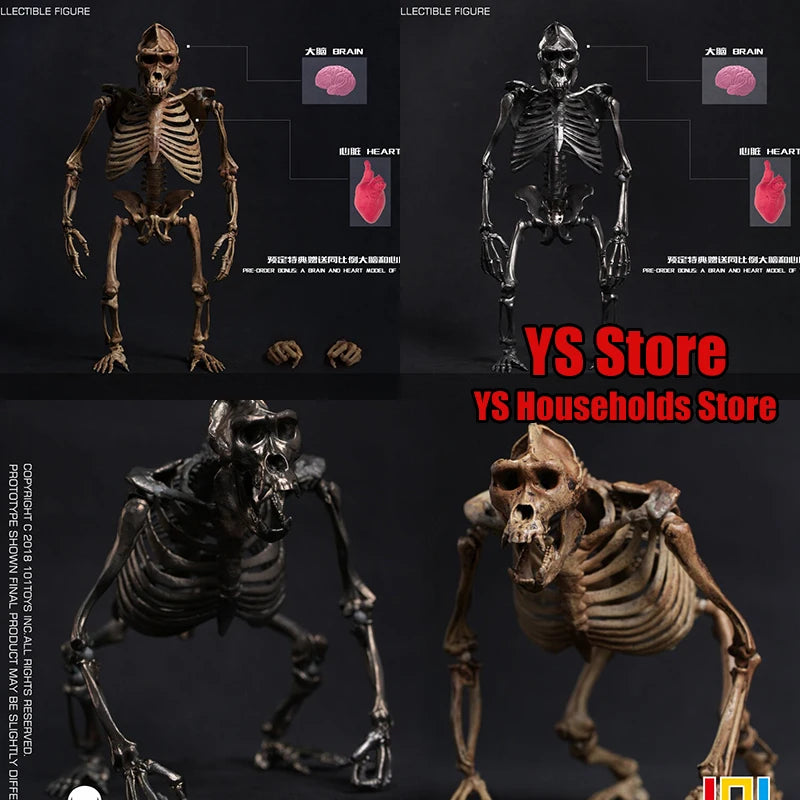 101TOYS PALM ELF SERIES ES003 1/12 CHIMPANZEE SKELETON FRAME BOBY Model Scene Accessory 6inch Skull Action Figure Home Ornament