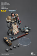 【SF】 JOYTOYS Warhammer 40K 1/18 Action Figures  Grey Knights Interceptor Squad Interceptor Justicar Model Toys Gifts