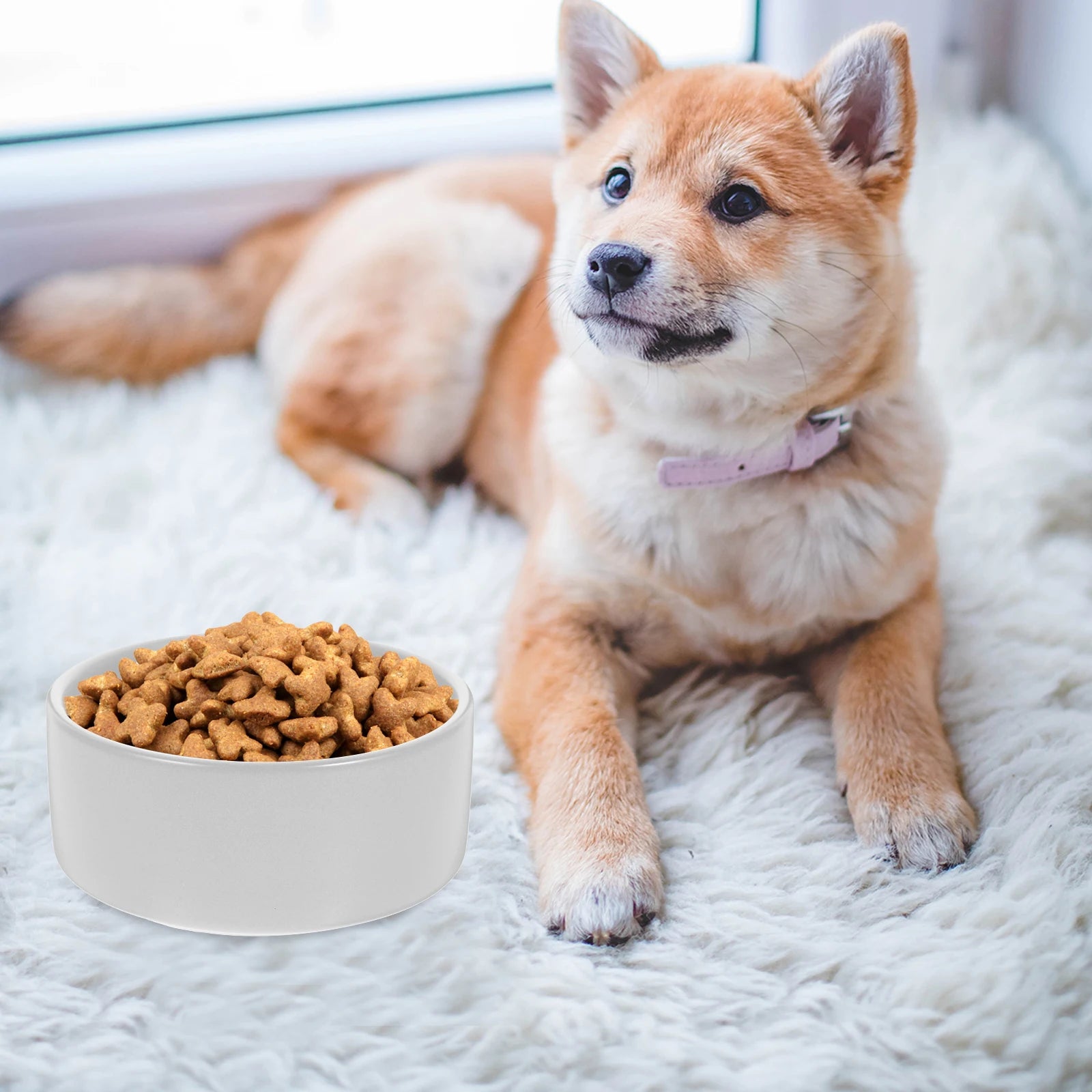 1 Set Ceramic Dog Cat Wood Stand Nonslip Pet Feeding Water Bowl Anti-Slip Food Container Durable Wear-Resistant