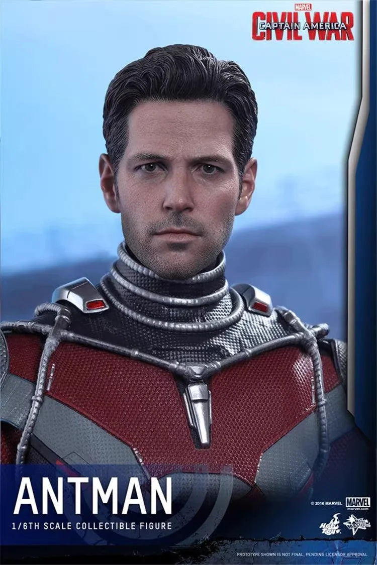HOTTOYS Original HT MMS362 1/6 Collectible ANT-Man Action Figure Captain American 3 Civil War 12" Full Set Soldier Model