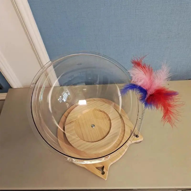 Cat Bowl Bed Cat Houses Spaceship Cat Bed Clear Cat Hammocks Cat Spaceship Cat Bed House Stable Kitten Nest For Indoor Cats