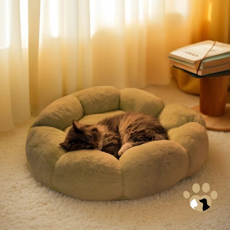 Cat Window Perch Hammock Bed Adjustable Suction Cup Mounted Soft Cushion Sunbathing Shelf Indoor Kittens cats accessories