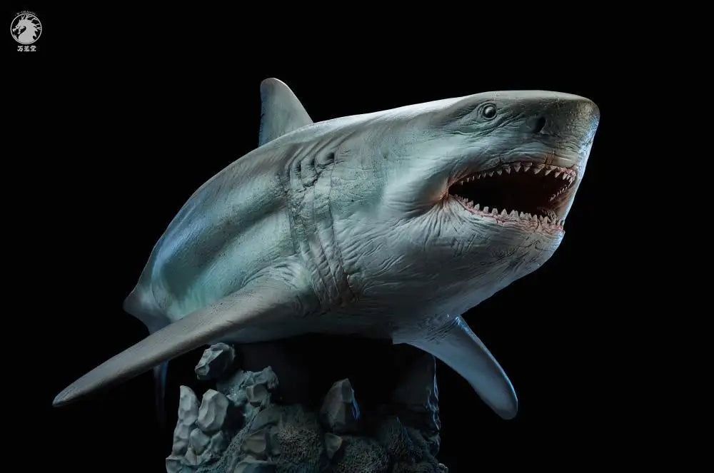 In Stock W-DRAGON Megalodon Model 1/35 45cm Static Statue Carcharocles Megalodon Paleontology Undersea Behemoth