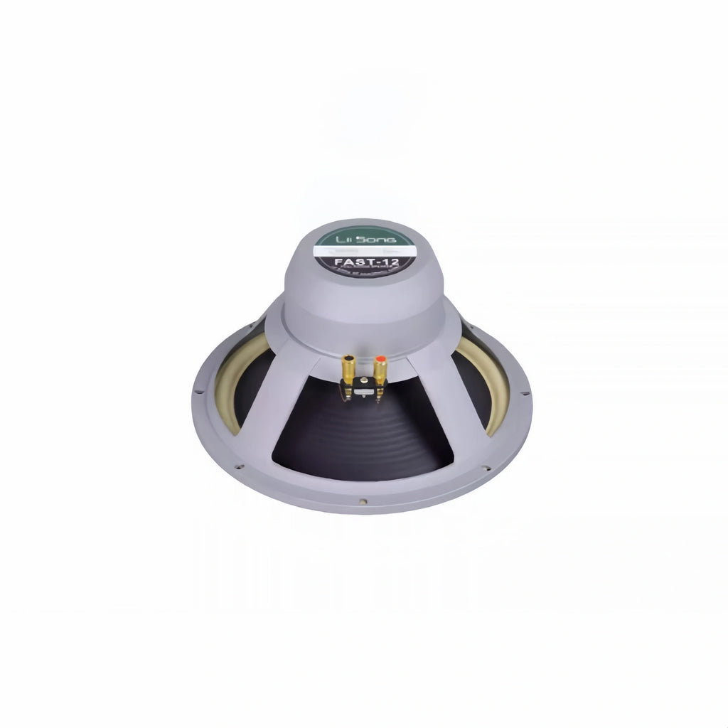 Z-1224 LiiSong Fast-12 12 Inch Full Frequency Speaker 40-80W 8 Ohm Fullrange Drivers （1 Pair）