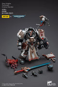 JOYTOY 1/18 Action Figure Warhammer 40K Grey Knights Terminator Incanus Neodan Model Toy Gift