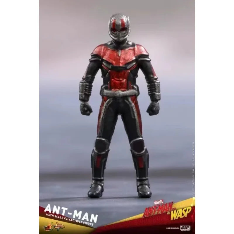 Original Hot Toys Marvel MMS497 ANT-MAN 1/6TH SCALE COLLECTIBLE FIGURE Anime Figure Toy Collection Model